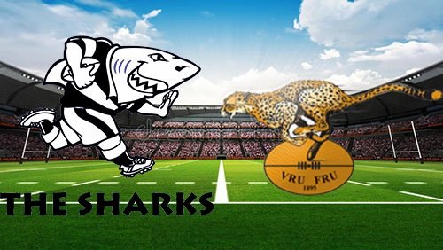 Sharks vs Cheetahs